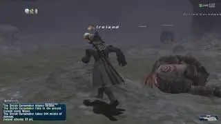 Final Fantasy XI FFXI BLM99WHM49 BLM Black Mage Ireland Yughott Grotto Nuking Orcs 28.10.16