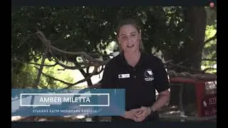 Prep Class A - Animal Training School