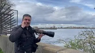 Заповедник Кросснесс, видеоблог о наблюдении за птицами 1, 23 февраля 2024 г.