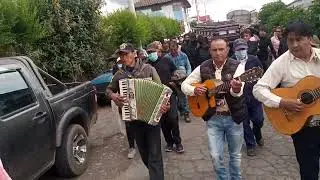 Los chavitos de pillaro i sus cuerdas de oro🐴🐂