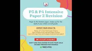 P3 & P4 Intensive Paper 2 Revision