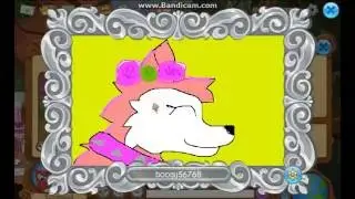 Trade Attempts On Blue Glossies | Animal Jam