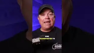 This Is How Catfish Pay Lakes Work