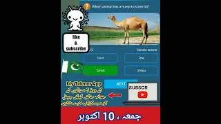 10th October 2025| Friday | My Telenor App Today Questions Answers #mytelenoranswerstoday
