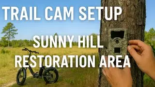 Установка камеры Trail Cam в зоне восстановления Sunny Hill