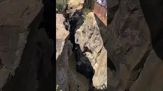 Cheploch Divers Insane🔥