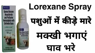 Lorexane Spray || मंखी घाव के कीड़ों के लिए स्प्रे