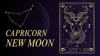 New Moon in Capricorn | When Ambition Meets a Soul Reset