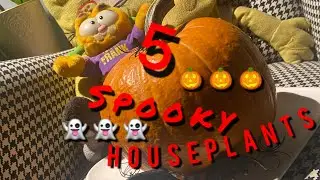5 Spooky Houseplants