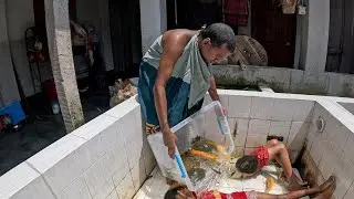 4K Relaxation Aquarium Video Most Beautiful Fish, Tortoise Catching Fish Tank Cleaning