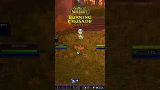 WOW TBC CLASSIC HUNTER LEVELING