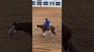 Вот это и есть РЕЙНИНГ 💪 🏆 #рейнинг #nrha #okc #reininghorses #aqha