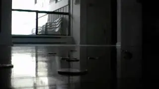 falling money.wmv