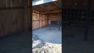 Turning this woodshed into a barn!