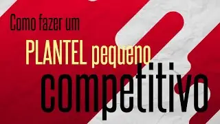 Como fazer um plantel pequeno competitivo
