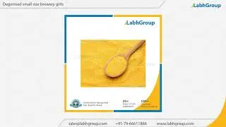 Degermed Small Size Brewery Grits | Best quality Degermed Small Brewery Grits exporter | Labh Group