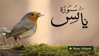 Surah Yaseen with Beautiful Voice | Surah Yaseen Tilawat | Heart Touching Quran Recitation#viral