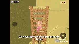 40 Random Shower Thoughts!