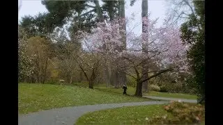 Yumi Zouma - December (Official Video)