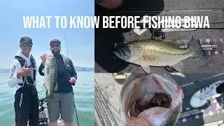 So you want to fish LAKE BIWA... #lakebiwa #biwako #japanbassfishing