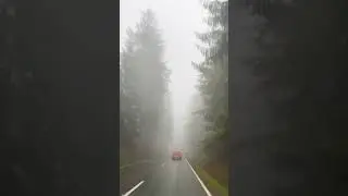 Driving I Fog is Amazing #shorts #short #fog #driving #raining #rain #mountains #winter #foggy #fyp