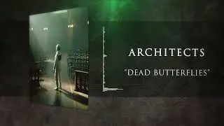 Architects - Dead Butterflies