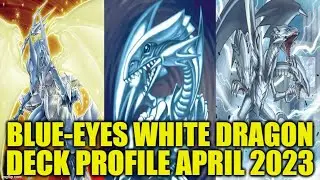 BLUE-EYES WHITE DRAGON DECK PROFILE (APRIL 2023) YUGIOH!