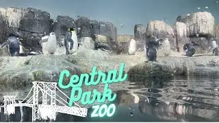 Central Park Zoo | Manhattan, NY