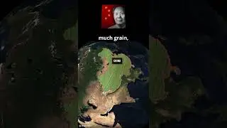War declared on BIRDS ?