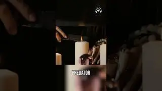 Cattle Mutilations: Satanic Cults & Disturbing Rituals! #shorts