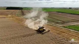 NEW HOLLAND CR8.80|COUPE VARIFEED 9.10M|MOISSON DE BLE TENDRE 2024