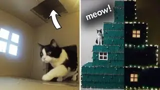 Huge Four Level Christmas Tree &ndash; a Maze For The Cat!!