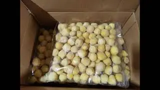 IQF frozen ginger China