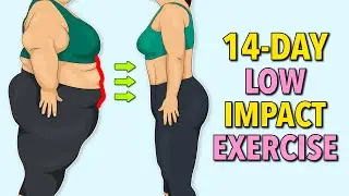 14-Day Low Impact Standing Exercise – Lose Belly Fat Without Jumping