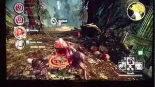 Dragon Age Origins Walkthrough Part 5 - Darkspawn blood?