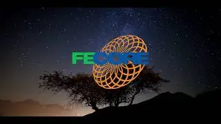 FECORE Force the Level Q&A