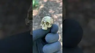 #skull #skulljewelry #skullring #goldskull #goldring #cherryblossom #