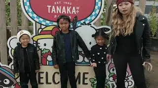 Tanaka Farms Pumpkin Patch 2018