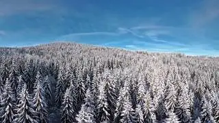 Black Forest 360&deg; Drone!