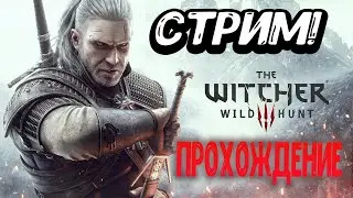 The Witcher 3: Wild Hunt (Ведьмак 3: Дикая Охота)стрим №34