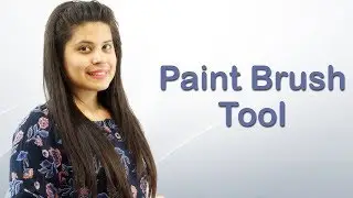 Using the Paintbrush tool in Adobe Illustrator - Hindi Tutorial Chapter 10 Video 3