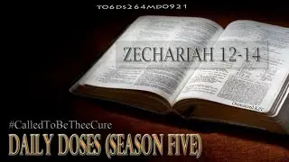 Daily Doses Season Five (Ep. 264) | Bible In One Year | KJV Translation