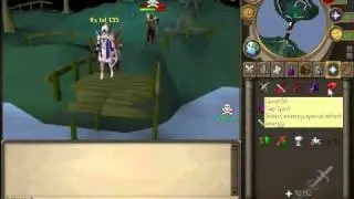 Runescape Private server pking