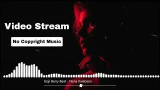 Goji Berry Beat - Nana Kwabena (Video Stream - No Copyright Music)