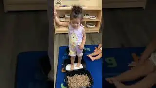 Sensory Walk - Connect with Your Environment