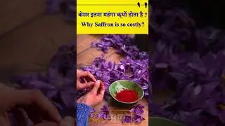 केसर इतना महंगा क्यों होता है? | Why is Saffron so costly? #shorts