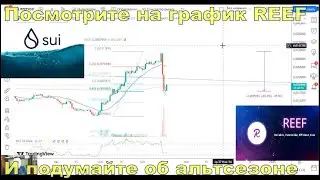 Bitcoin-разбор перфомансов SUI и реактивного Reef-BTC.D-что с альтой и приключения с биржей Binance