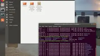 Linux 101: Using the command line to find out where we are