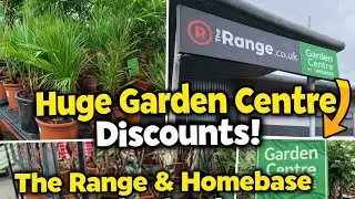 The Range | Homebase Garden Centre Sale | Discount Plants