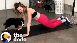 Clingy Dog Won't Let His Mom Get A Workout In | The Dodo